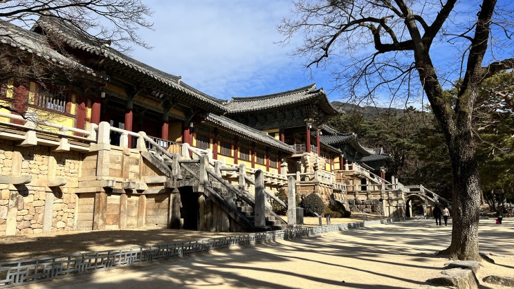  경주 가볼만한곳 불국사 등 1박2일코스