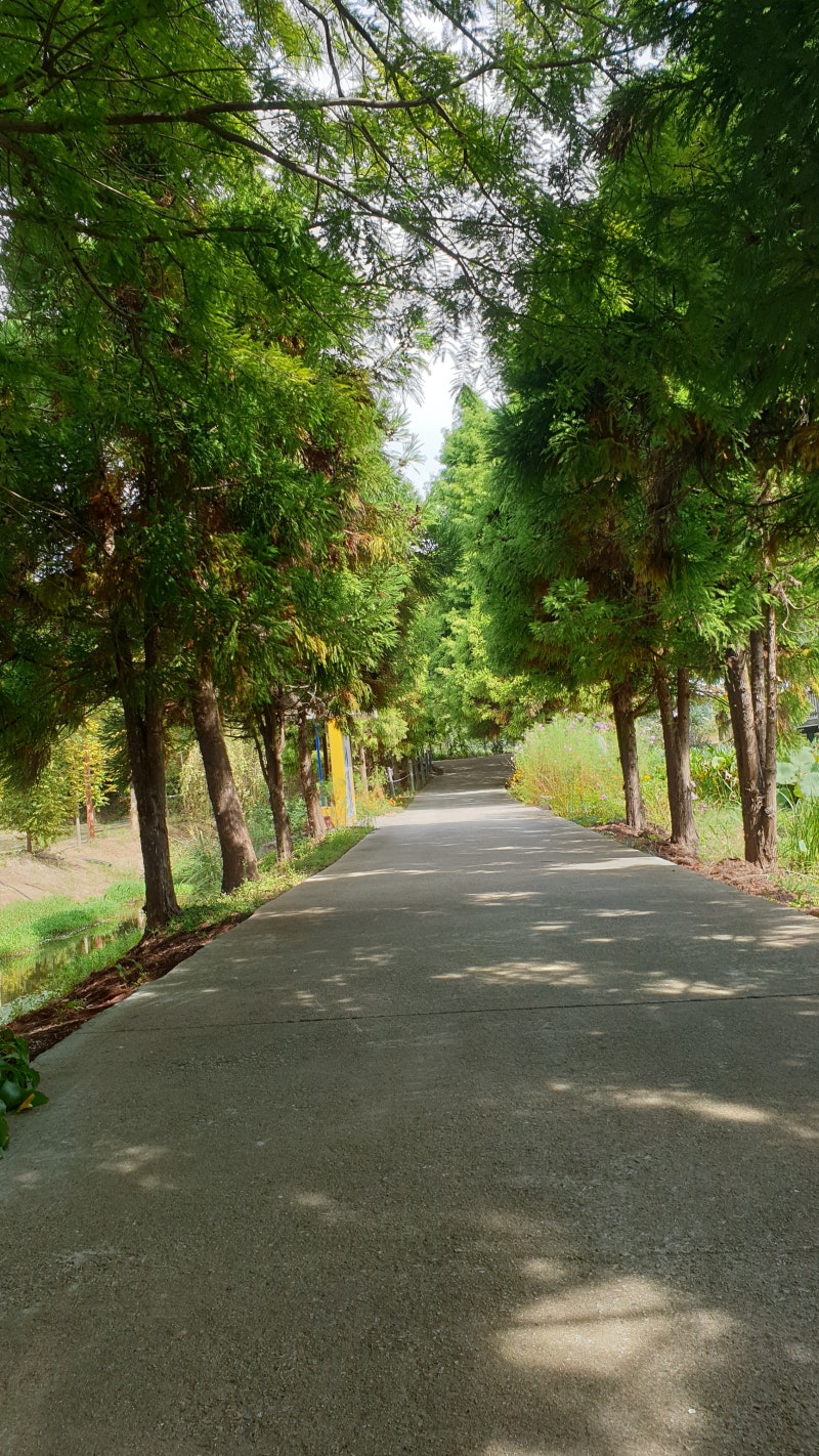 산곡중 성장의 시간 - Creative Awesome | 플립 PDF 온라인 | FlipHTML5, image size:800x1422