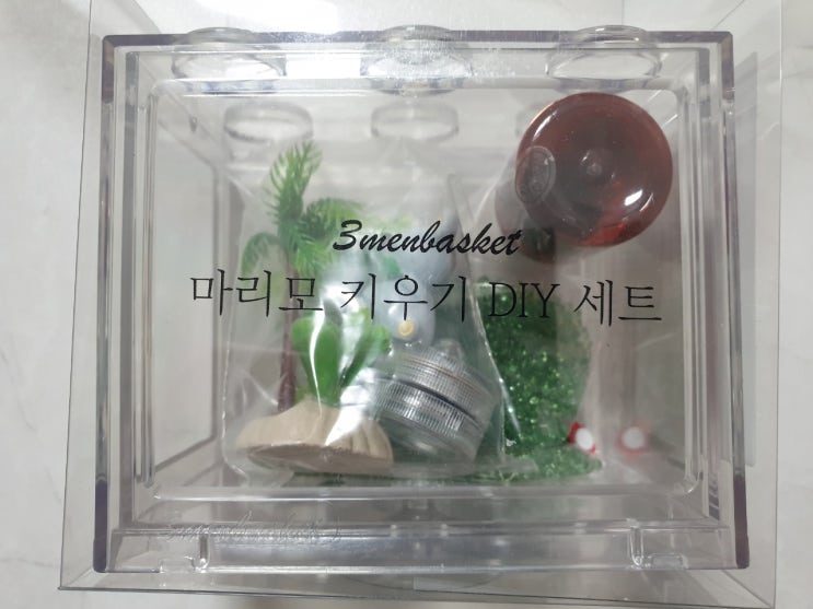 책임감 키우기(Ft.마리모)