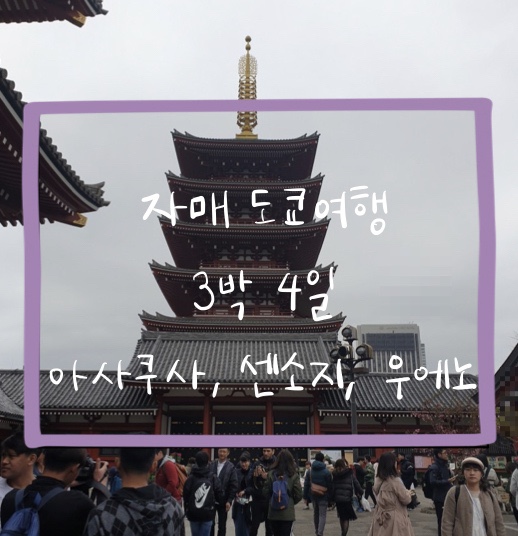  190330 도쿄자매여행 : 아사쿠사, 센소지, 우에노 > 집으로