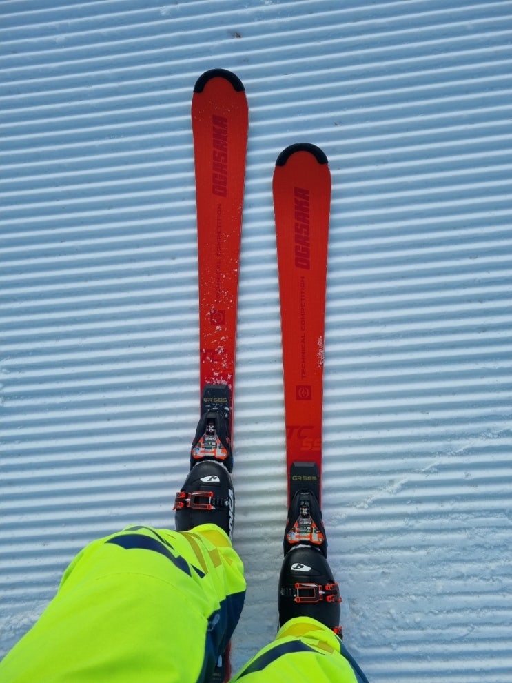  [SKI] 17번째 비발디파크