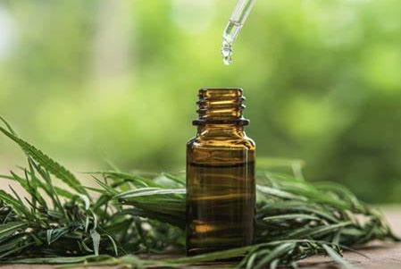  티트리 오일(Tea tree Oil) 효능과 부작용