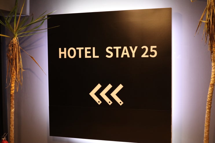  정발산역 호텔 추천 / 고급스러운 인테리어의 stay25 리뷰