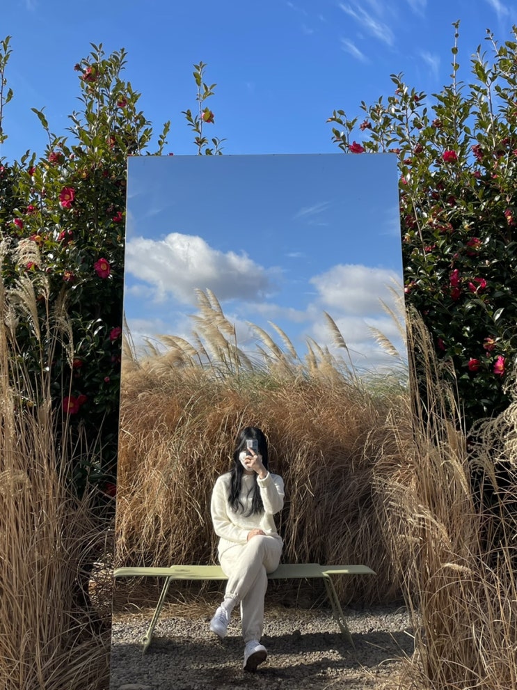 [<b>제주</b> 5박 6일-3] <b>제주</b> <b>남부</b>... 용머리해안 <b>휴일</b>로 올레시장... 