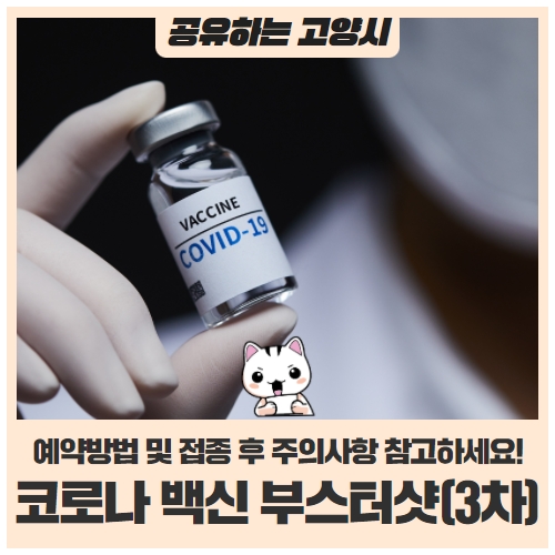 코로나19 3차 백신 부스터샷 예약 방법 접종 후 주의사항 코로나19 3차 백신 부스터샷 예약 방법 접종 후 주의사항