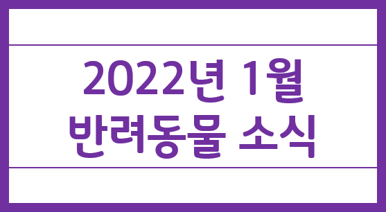  스타벅스, 반려동물과 함께 즐기는 '더북한강R점' 개점