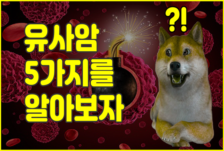  [암보험] 유사암 과거 보장금액보다 더 높다? 소액암시절은 잊어라!