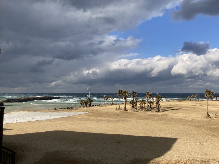  제주도 2박3일 여행(라플라주, 비밀의숲, 안돌오름, 거문오름식당, 유채꽃프라자, 녹산로, 함덕) - 2일차