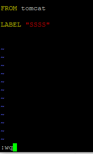  Dockerfile