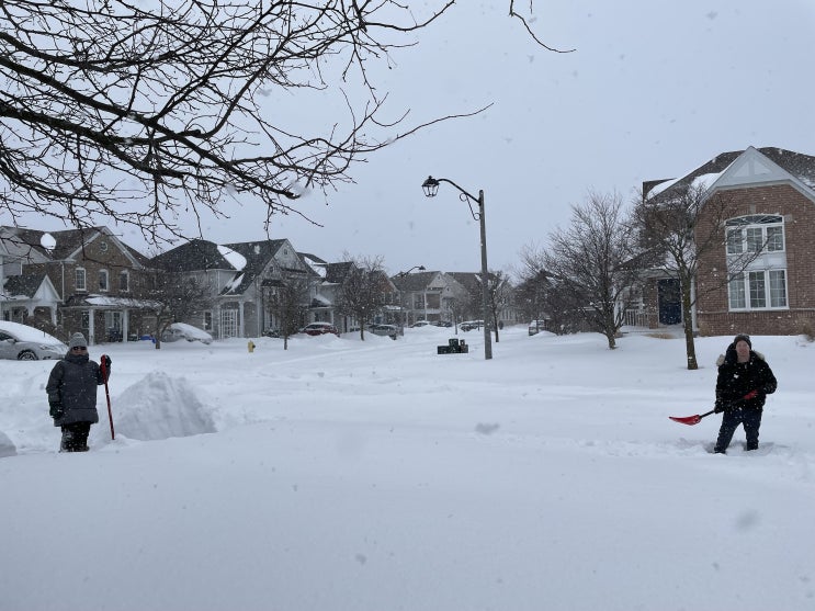  캐나다 적설량 63cm 실화인가, 내 인생에서 눈 제일 많이 온 날, A Perfect Snowy Day