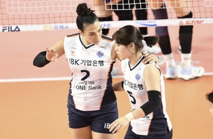 KOVO 프로배구 18일 국내 남자배구 삼성화재 OK금융그룹 여자배구 페퍼저축은행 IBK기업은행 KOVO 프로배구 18일 국내 남자배구 삼성화재 OK금융그룹 여자배구 페퍼저축은행 IBK기업은행
