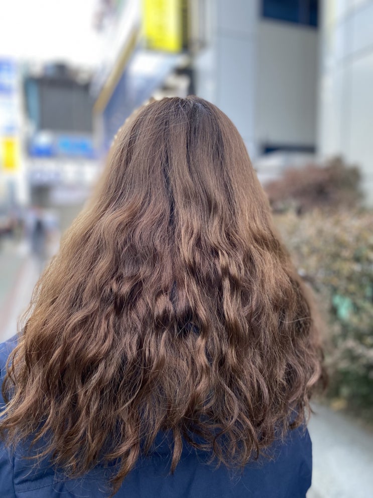  미장센 염색약_미쟝센 헬로버블 애쉬토프그레이 셀프염색 후기