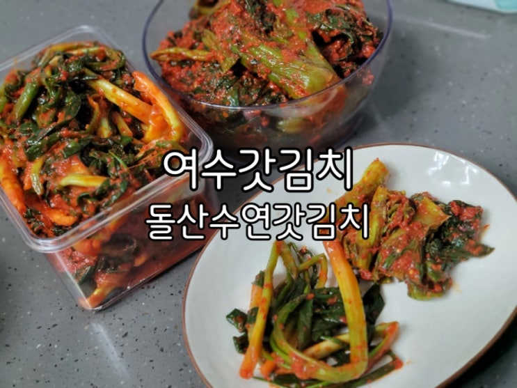 돌산수연갓김치 여수갓김치 전국에서 찾는 이유 돌산수연갓김치 여수갓김치 전국에서 찾는 이유