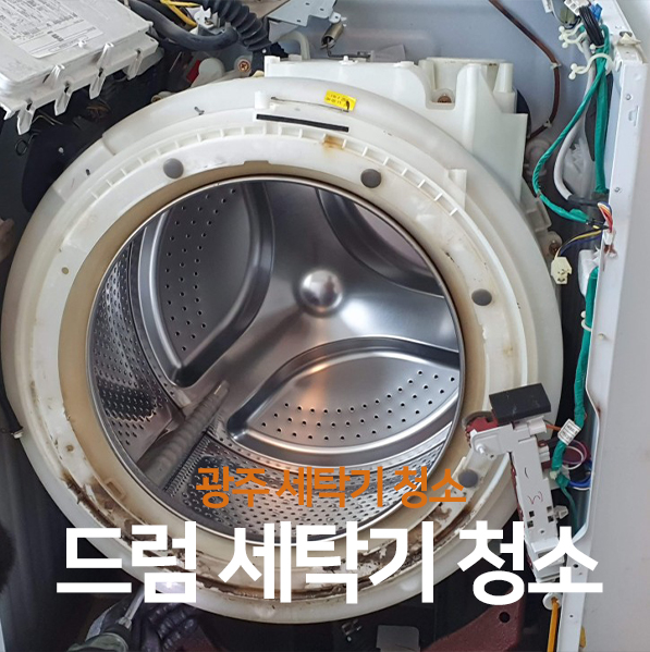 광주세탁기청소, 바로 앞에 보이는 곰팡이
