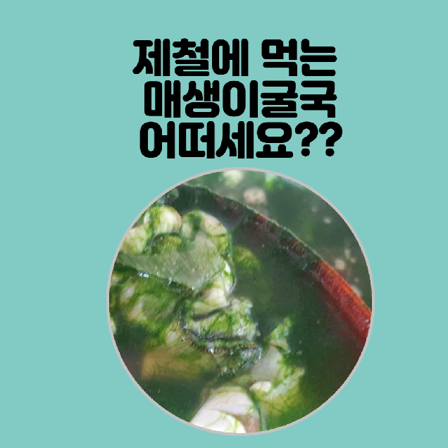  제철음식인 매생이굴국은 식이섬유가 풍부해요~~