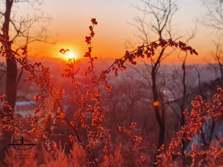  익숙해져 버린... 그러나 아직도 무서운.. 코로나