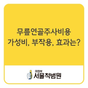 [공지] 무릎 연골 주사 효과, 부작용, 횟수/간격(3회?) (효과, 가격, 실비/의료보험)