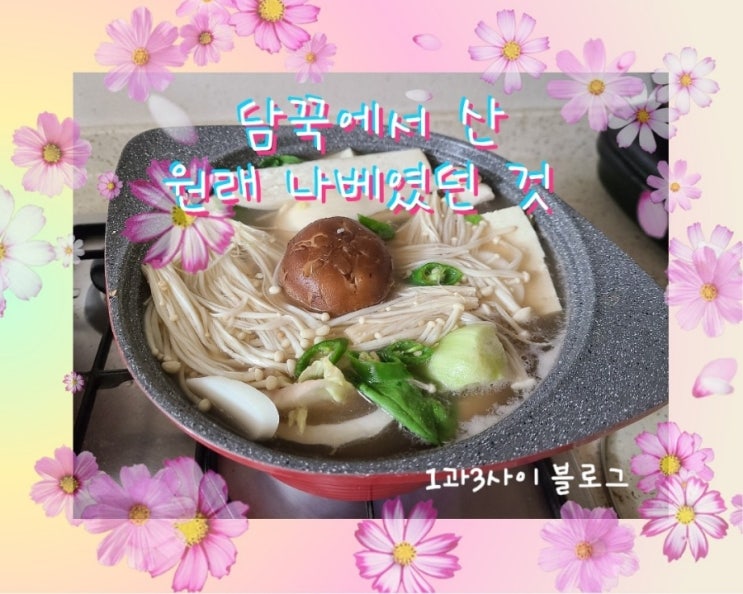 담꾹 밀키트 나베/실패한 나베요리 담꾹 밀키트 나베/실패한 나베요리