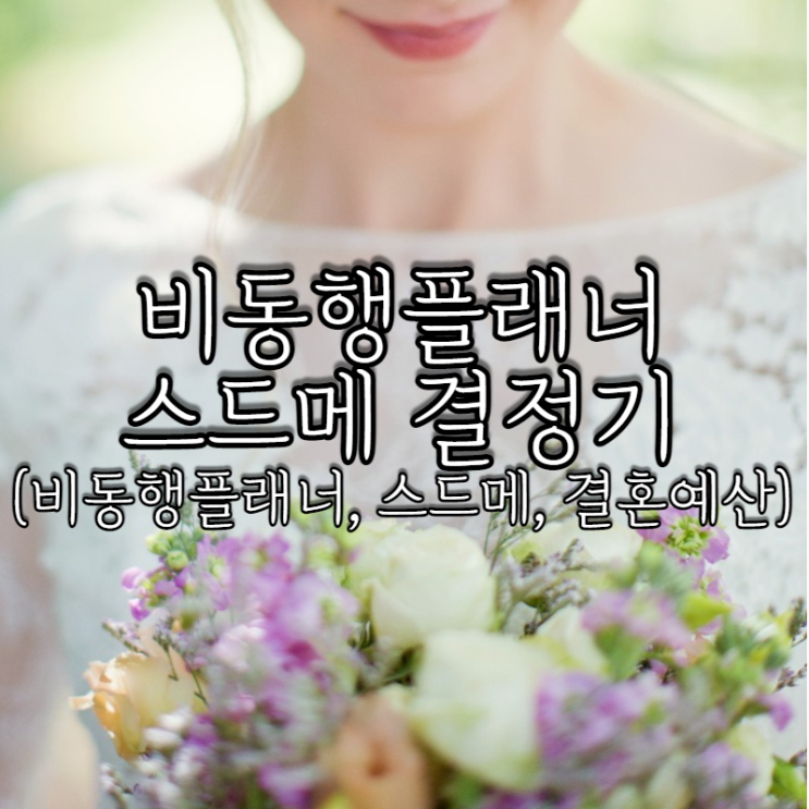  W3-1. 비동행플래너 스드메 결정기(비동행플래너 다이렉트 계약, 스드메 결정, 결혼예산 짜기)