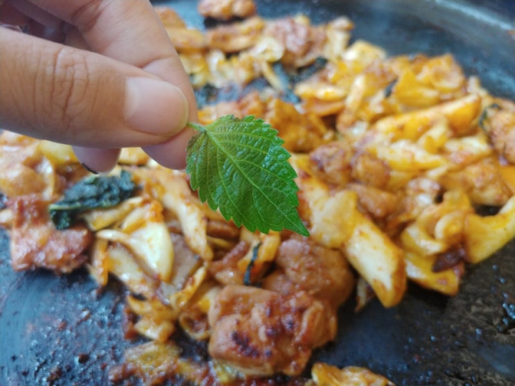 김포 구래동 맛집 김포닭갈비맛집 춘천명가닭갈비