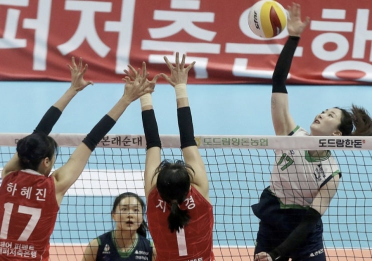 KOVO 프로배구 19일 국내 남자배구 현대캐피탈 우리카드 여자배구 현대건설 흥국생명 KOVO 프로배구 19일 국내 남자배구 현대캐피탈 우리카드 여자배구 현대건설 흥국생명