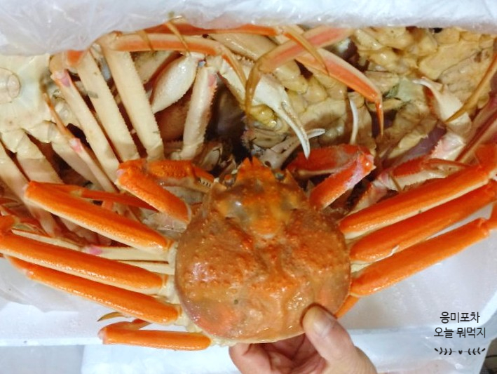  대게 손질법과 진한 국물 대게라면 끓이기