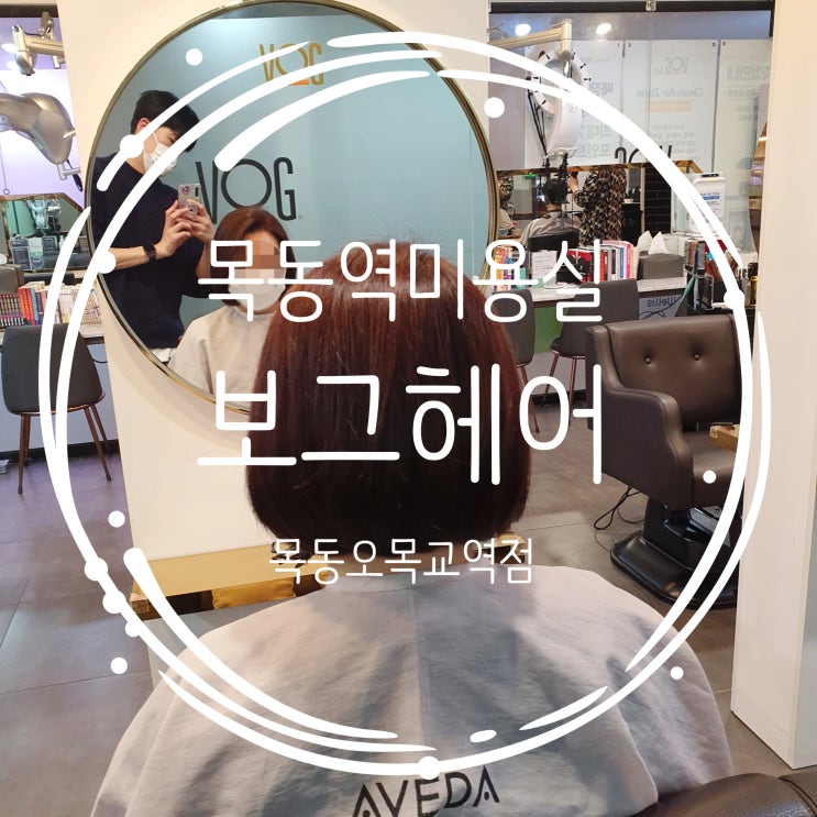  목동역미용실 보그헤어 목동오목교역점 커트 후기 (by 현 실장님)