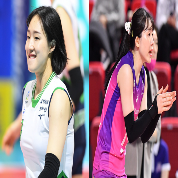 여자배구 현대건설 흥국생명 1월 19일 경기예상(양효진 고예림 정지윤 캣벨 이주아 김미연)