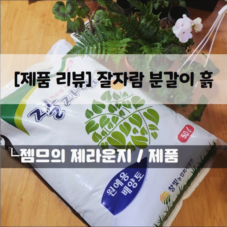  <잘자람 원예용 상토> 화분 분갈이 할 때 딱 좋은 분갈이 흙