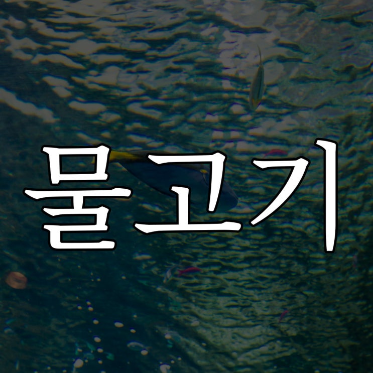 2ch - 물고기를 좋아하는 아이 / 짧은 무서운 이야기
