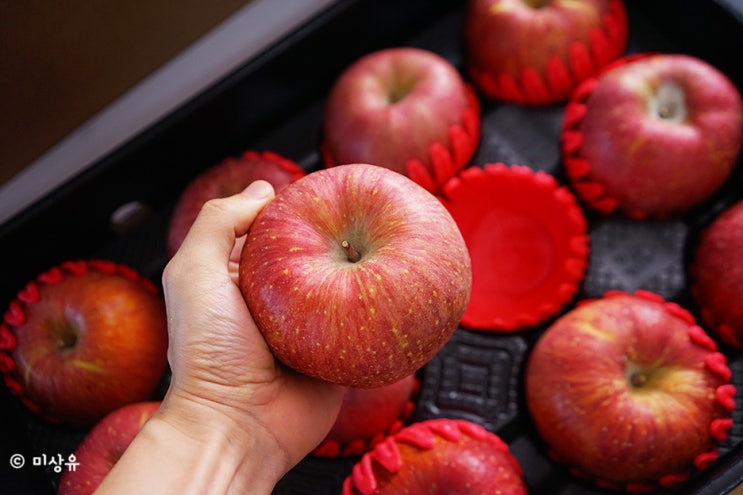 설 선물세트, 수토마켓 산지 직송 과일 사과