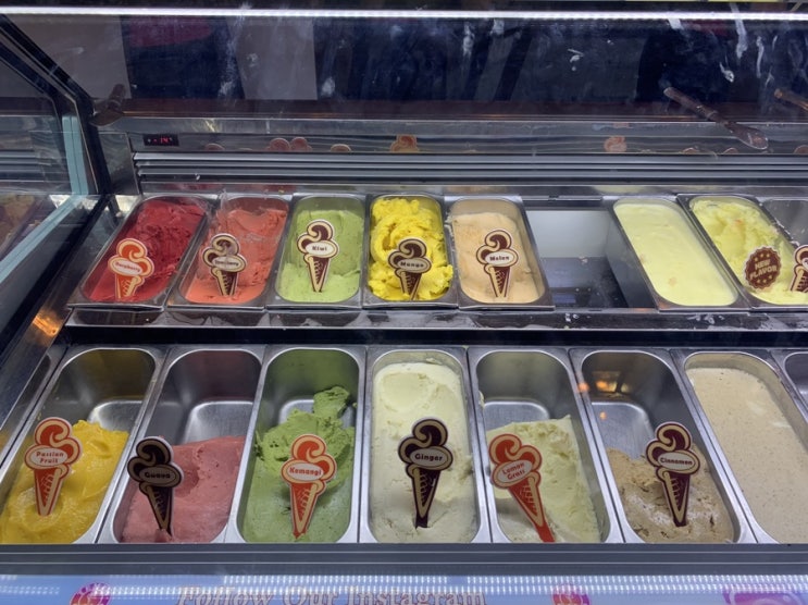 [족자카르타 여행] Tempo Gelato 템포 젤라또 방문 후기 / 맛 추천