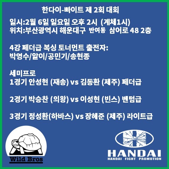 아마추어를 위한 격투기 이벤트, 한다이빠이트 제 2회 대회