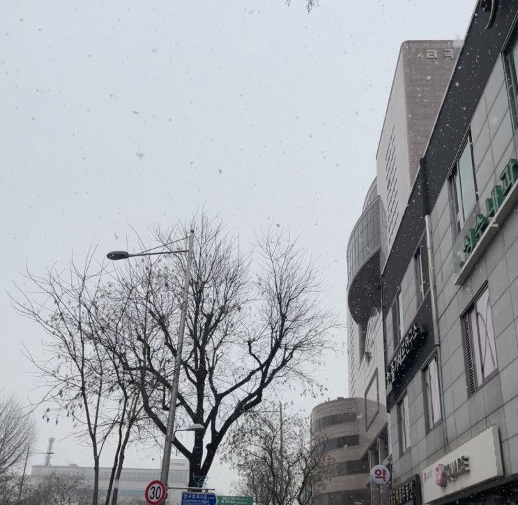  오랜만에 올려보는 일상 & 해피빈 2022 첫 기부 이벤트