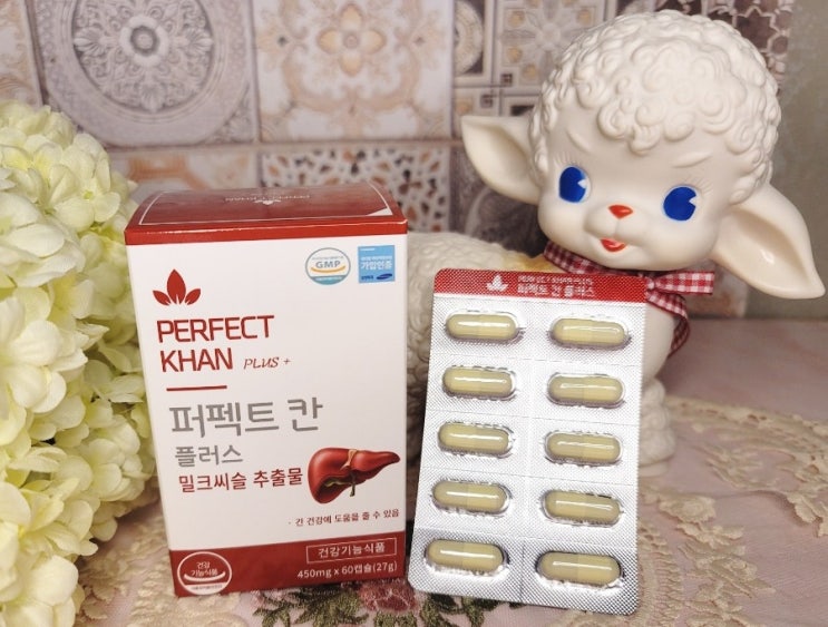 [제품후기]퍼펙트칸 플러스 간건강 피로회복제