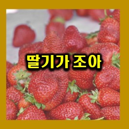  딸기가좋아~ 국내산 냉동딸기도 좋아~ (딸기 효능)