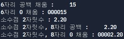  C언어 printf 출력 예제, 줄바꿈, 자릿수