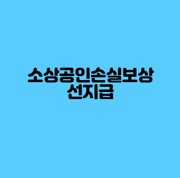 소상공인손실보상선지급이란?
