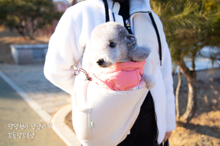 올치 슬링백, 쿠션 있는 초경량 강아지 가방