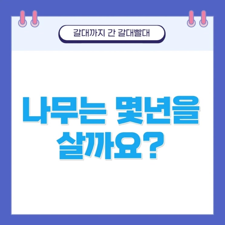  친환경빨대