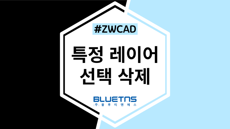  [ZWCAD] 특정 레이어 선택하여 삭제하기