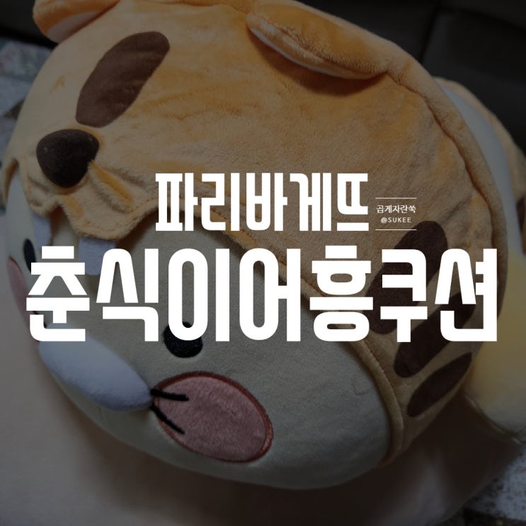  다사다난했던 파리바게뜨 춘식이 어흥 쿠션 픽업 후기