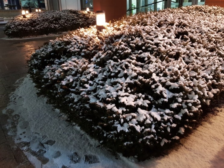 겨울왕국이로구나! 겨울왕국이로구나!