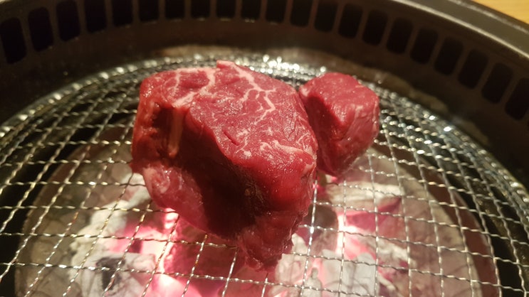  바른고기 정육점 을지로점에서 소고기 한우 FLEX~!