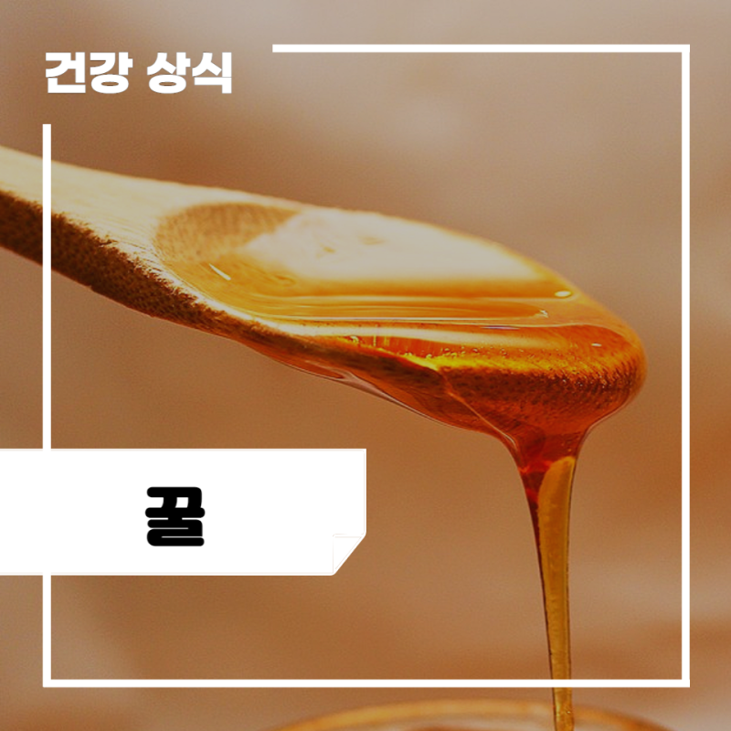 꿀의 놀라운 효능 10가지와 먹는법, 보관법, 부작용, 타는법 : 꿀물 효과, 숙취, 다이어트 : 네이버 블로그 꿀의 놀라운 효능 10가지와 먹는법, 보관법, 부작용, 타는법 : 꿀물 효과, 숙취, 다이어트 : 네이버 블로그