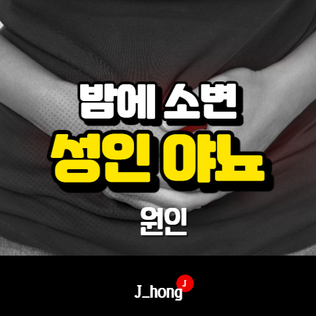  밤에 소변이 자주 마려워요! 성인 야뇨증 원인?