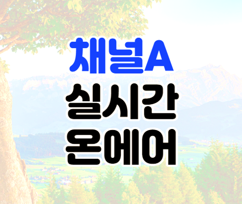 채널A 온에어 실시간 무료 방송 편성표 보기 채널A 온에어 실시간 무료 방송 편성표 보기
