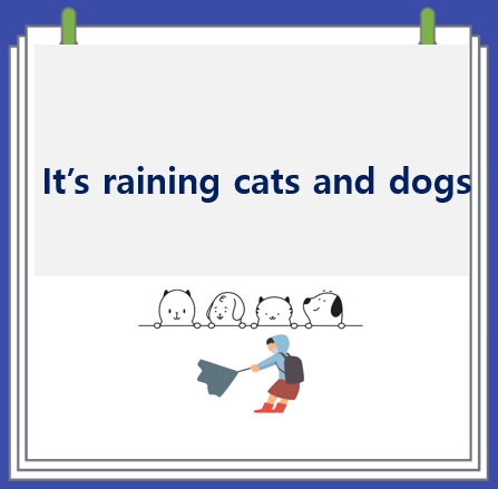 rain cats and dogs 뜻과 유래