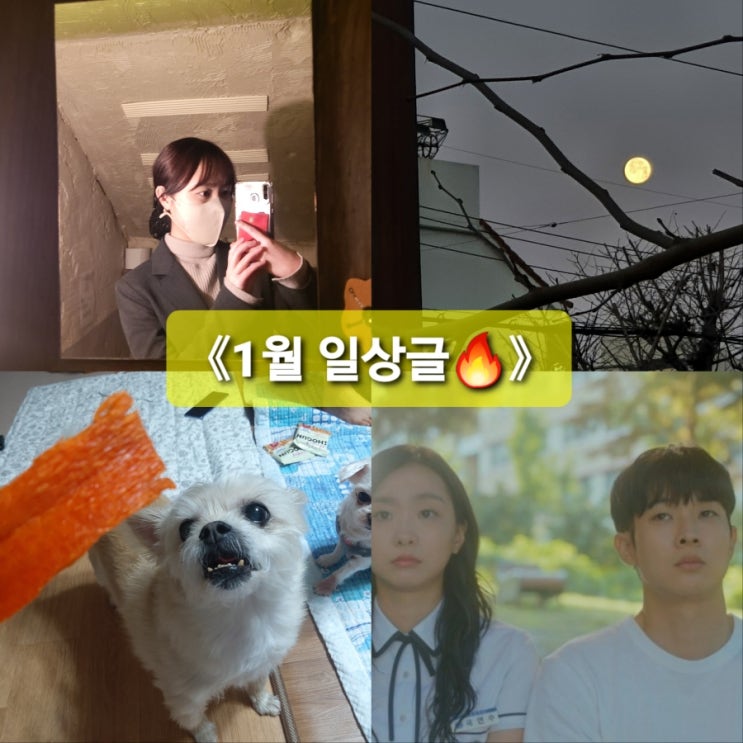  좀비같은 일상을 담은 1월 일상글../첫출근/동생군입대/그해우리는/취업선물