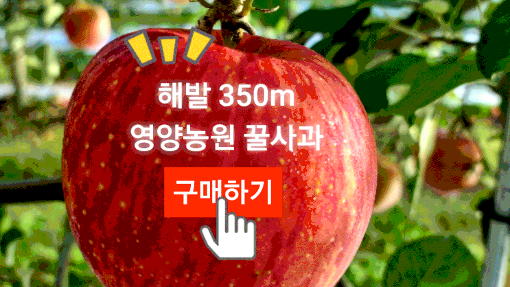  (영양농원)2022년 고도 3.5 사과 판매
